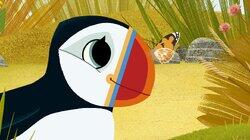 The Puffin Way The Puffin Way