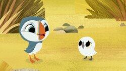 Puffin Practice Puffin Practice