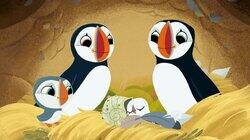 A Special Seashell A Special Seashell