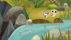 The Salmon Leap The Salmon Leap