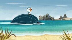 Turtle Taxi Turtle Taxi