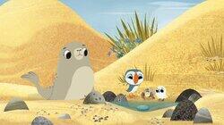 Silky's New Friend Silky's New Friend