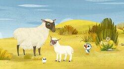 Lamb Chase Lamb Chase