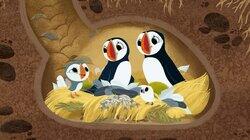 Oona's Fishing Trip Oona's Fishing Trip