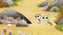 Find the Owls Find the Owls