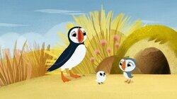 Puffin Treasure Puffin Treasure