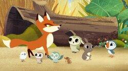 Mossy's Flea Mossy's Flea