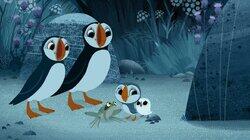 Back to the Pond Back to the Pond