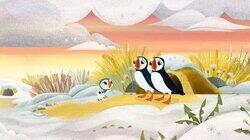 The First Snow The First Snow