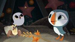 Bernie and the Bee Bernie and the Bee