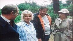 Grass Widows Grass Widows