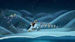 The Meteor Shower The Meteor Shower