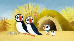 The Great Gull The Great Gull