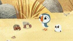 House Hunting House Hunting