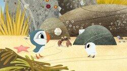 The Best Shell The Best Shell