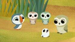 Owl School Owl School