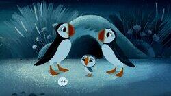 Night Lights Night Lights