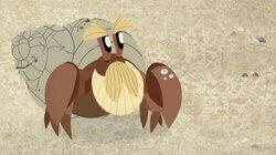 Bernie's Shell Bernie's Shell