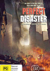 Perfect Disaster